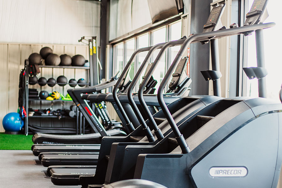 Wellness Performance